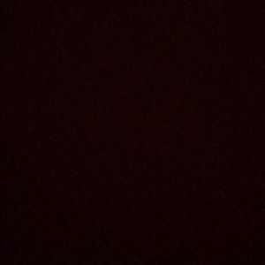 Meet your Posher, Lailah